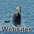 Heidi G. Evans Websites