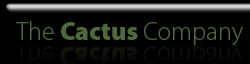The cactus company