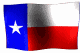 texas flag in motion
